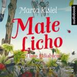 Kisiel Marta Małe Licho i lato z diabłem audiobook