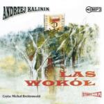 Andrzej Kalinin Las wokół audiobook