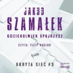 Szamałek Jakub Ukryta sieć T. 3 Gdziekolwiek spojrzysz audiobook