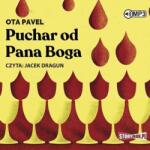 Ota Pavel Puchar od Pana Boga audiobook