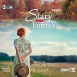 Grażyna Jeromin-Gałuszka Dwieście wiosen T. 5 Stary kuferek audiobook