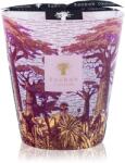 Baobab Collection Sacred Trees Massasso lumânare parfumată 1000 g