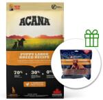 ACANA ACANA Puppy Large Breed 17 kg + 3x recompense GRATUIT
