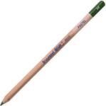 Royal Talens Design Pastel Пастелен молив 96 Sap Green 1 бр (884096K)