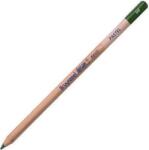 Royal Talens Design Pastel Creion pastel 96 Sap Green 1 buc (<![CDATA[884096K]]>)