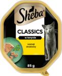 Sheba SHEBA Classics nedves macskaeledel csirkével terrinben