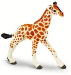 Safari Ltd Safari® Pui de girafă reticulată (S268529) Figurina