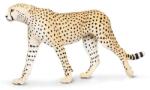 Safari Ltd Safari® Ghepard (S112889) Figurina