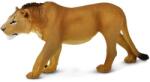 Safari Ltd Safari® Leu adolescent (S104992) Figurina