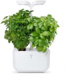 Véritable gradină de casă autonomă Exky Classic 20 × 18 cm 99KK-EGU1RN_00X (VEXK.CAWAW.EU2.161)