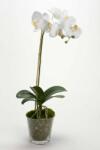 home & lifestyle plantă artificială în ghiveci 63. 99KK-DRU1D0_00X (126316)