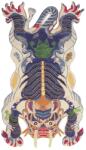 Bongusta covor de lână Dragon 110 x 200 cm 99KK-DYU058_MLC (BON05.002) Covor