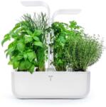 Véritable gradină de casă autonomă Classic 33 x 18, 5 x 45 cm 99KK-EGU1RL_00A (VPOT.CAWAW.EU2.155)