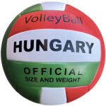 S-Sport Minge de volei de interior, cu înveliș din PVC - VEKTORY HUNGARY (735182)