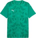 PUMA TEAMGLORY JERSEY Verde, Alb L (70628005)