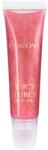 Lancome Гланц за устни Juicy Tubes, 07 Magic Spell, 15 ml - ozone