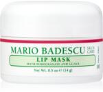 Mario Badescu Lip Mask With Pomegranate and Guava mască hidratantă pentru buze 14 g