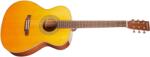 Tanglewood TW40OANE