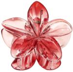 SOHO Moana Hawaii Virágos Hajcsat Flame