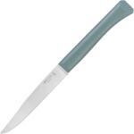 Opinel Bon Apetit Sage 002195