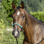 USG Csomózott kötőfék szárral, fekete, cob/full (USG15050029-100-398)