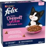 FELIX Duplán finom száraztáp - Junior, baromfi - 800 g