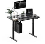 StableDesk Birou reglabil electric StableDesk Plus 2 (Model 2025), 2 motoare, Ridica 100 kg, Controler cu Butoane, Aplicatie Smart pentru Telefon, Ergonomic, 3 F (SD-113-NE-R-NE-120x75)