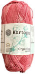  Kartopu Organica Print 100% színátmenetes pamut fonal H2201 - Eper