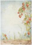 Stamperia A4 rizspapír csom. - Hidden Grove strawberries