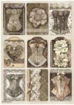 Stamperia A4 rizspapír csom. - Old Lace corsets