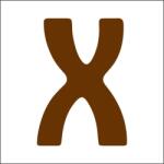 Penta collection Fabetű 15mm, 10 db/csomag X