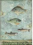 Stamperia Dekupázs rizspapír A4 csom. - Hal
