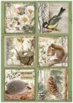 Stamperia A4 rizspapír csom. - Forest 6 cards