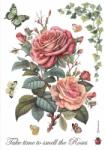 Stamperia A4 rizspapír csom. - Big rose