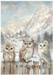 Stamperia A4 rizspapír csom. - The Owl's House 3 owls