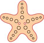 Penta collection Fafigura gomb 52 - tengericsillag 10 db/csomag