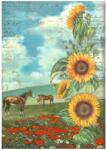 Stamperia A4 rizspapír, csom. - Sunflower Art and horses