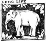 Stamperia Akril pecsételő 5 x 7 cm elefánt