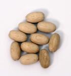 Penta collection Fagolyó ovál 20mm-es, 10 db/csomag