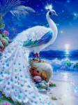 NORIMPEX - Puzzle Tablou Diamant: Păun alb 30x40cm - 1 - 39 piese