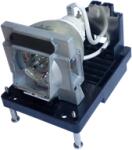 NEC NP22LP (60003223) lampă generică cu modul (NP22LP)