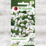 Seminte de Limonium sinuatum (Sărăturică) alb (87093)