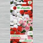 Semințe de Bănuței Pomponette, mix multicolor (69631)