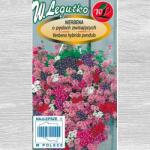  Semințe de Verbena curgătoare, mix multicolor Legutko (69639)