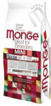Monge Mini Adult Salmon and Rice 2x15 kg hrană pentru câini