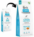 Brit Grain-free Junior Large Breed Salmon & Potato 2x12 kg hrană pentru câini