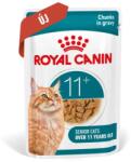 Royal Canin Aigeing 11+ alutasakos eledel idős macskának 85g