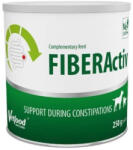 VetFood FiberActiv powder 250 g