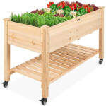  Guruló fa palántázó (HOP1001187)