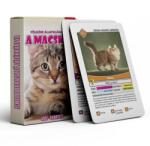  Kvartett A macskák ismeretterjesztő kártyajáték (502020)